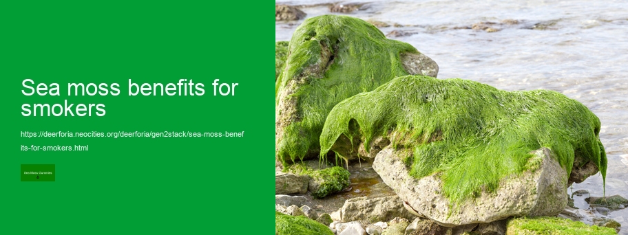 sea moss benefits and side effects